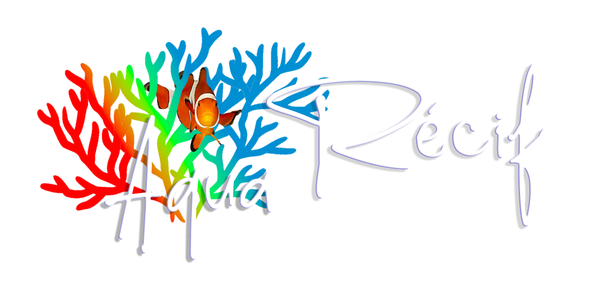 Aqua Récif