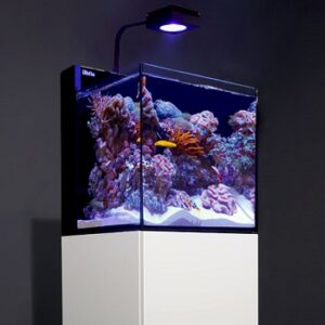 Aquariums marin nano