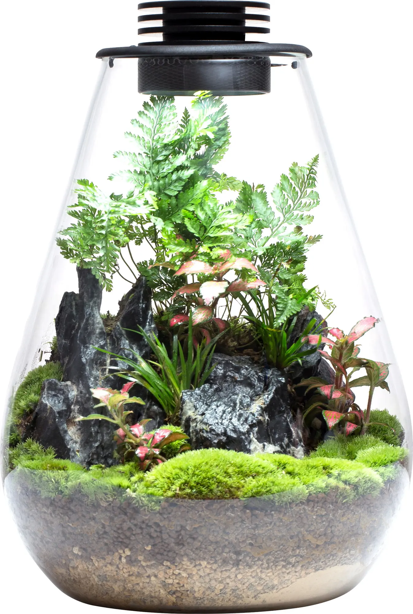 Bioloark Modell SD175