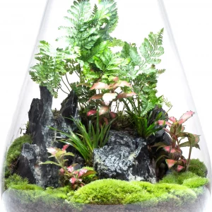 Bioloark Modell SD200