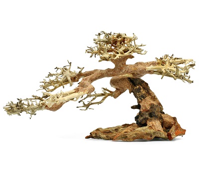 Claw-Bonsai XS