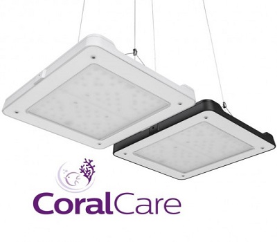 Coral Care Blanche