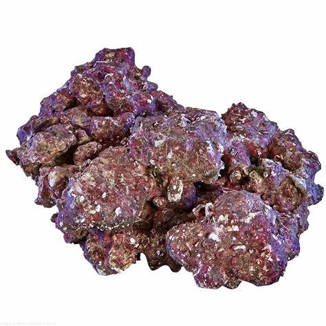Real Reef Rock /kg