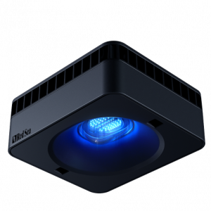 Reef Led G2 115