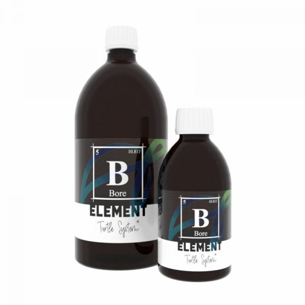 ELEMENT – Bore 1 L Turtle System