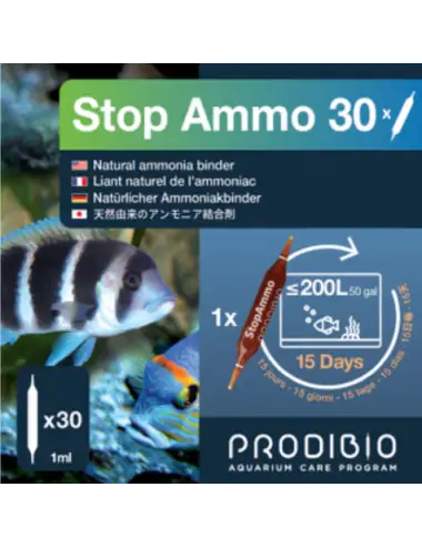 Stop Ammo 30 amps