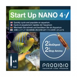 Start up Nano 2 amp