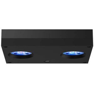 AI Hydra 32 HD Noir