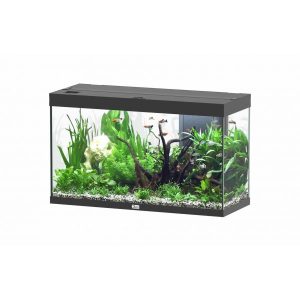 Splendid 100 aquarium Noir 001