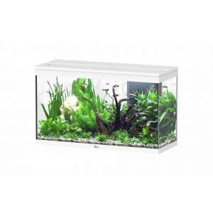 Splendid 100 aquarium Blanc 025