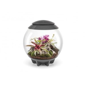 Biorb Air 30 Gris