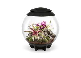 Biorb Air Noir 60