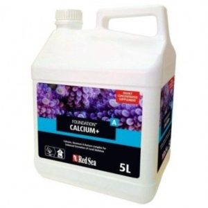 Foundation Calcium+ 5L