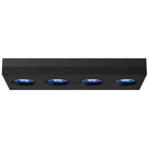 AI Hydra 64 HD Noir