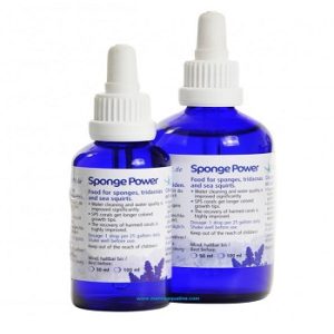 Spongepower 50ml