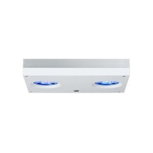 AI Hydra 32 HD Blanche