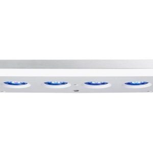 AI Hydra 64 HD Blanche
