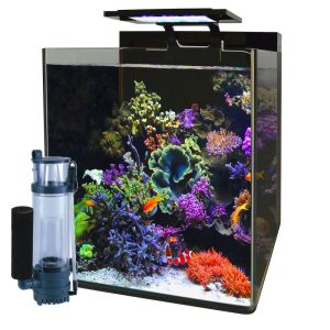 Reef 60 Aquarium Blue Marine