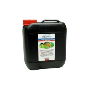 Easy Carbo 5L