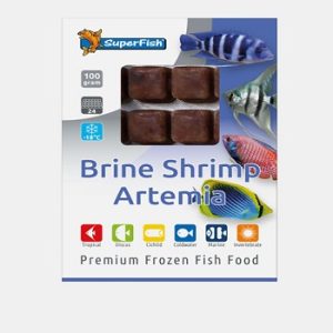 Artemia congelé 100g
