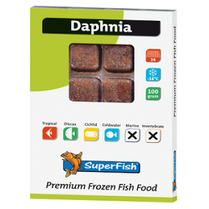 Daphnia nourriture congelée 100g