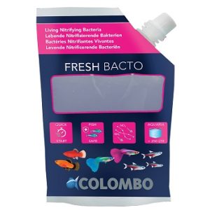 Fresh Bacto 250 ml