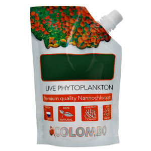Fresh Phytoplankton 250 ml