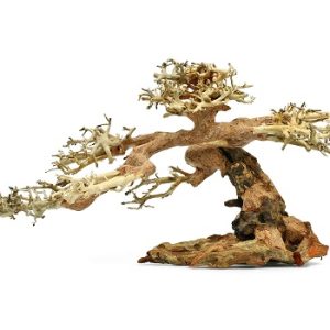 Claw-Bonsai M