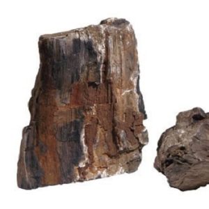 Fossilized Wood 1 kg