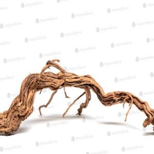 Millenium Tree Wood 1 kg