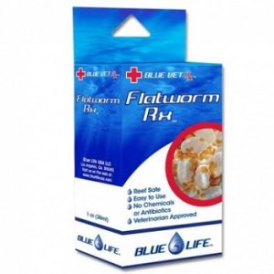 Flatworm RX