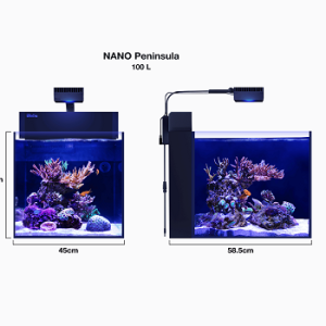 Max Nano Peninsula Complet Blanc