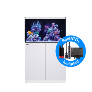 Reefer 250 G2+ Blanc