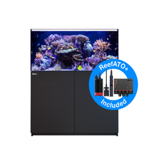 Reefer 425 G2+ Noir