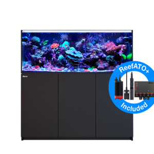 Reefer 525 G2+ Noir