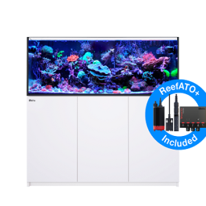 Reefer 625 G2+ Blanc