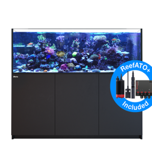 Reefer 750 G2+ Noir