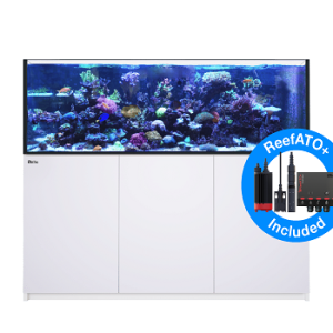 Reefer 750 G2+ Blanc