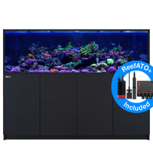 Reefer S 1000 G2+ Noir