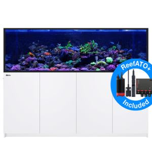 Reefer S 1000 G2+ Blanc