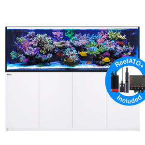 Reefer 900 G2+ Blanc