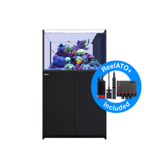Reefer Peninsula 350 G2+ Noir