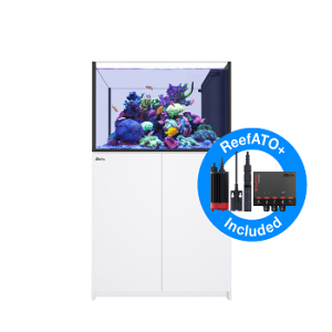 Reefer Peninsula 350 G2+ Blanc