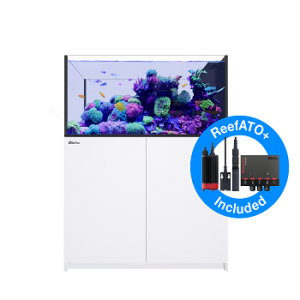 Reefer Peninsula 500 G2+ Blanc