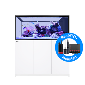 Reefer Peninsula S 700 G2+ Blanc