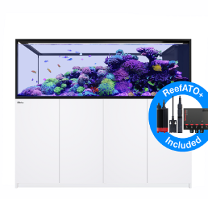 Reefer Peninsula S 950 G2+ Blanc