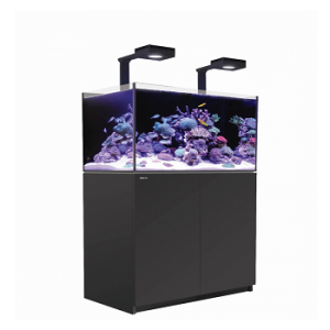 Reefer 300 G2+ Deluxe Noir 90