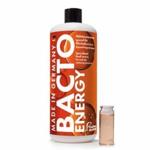 Bact Energy 250ml