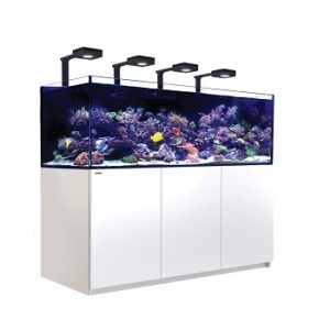 Reefer 750 G2+ Deluxe Blanc 90