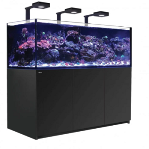 Reefer 750 G2+ Deluxe Noir 160